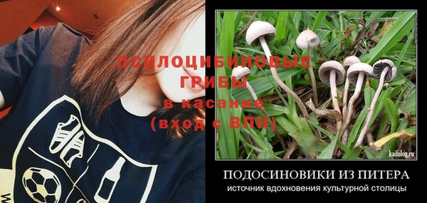 герыч Белокуриха