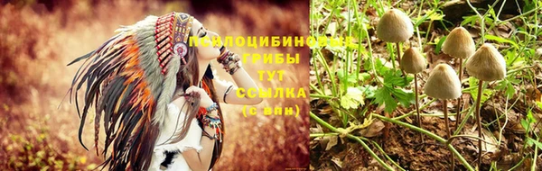 ПСИЛОЦИБИНОВЫЕ ГРИБЫ Белоозёрский